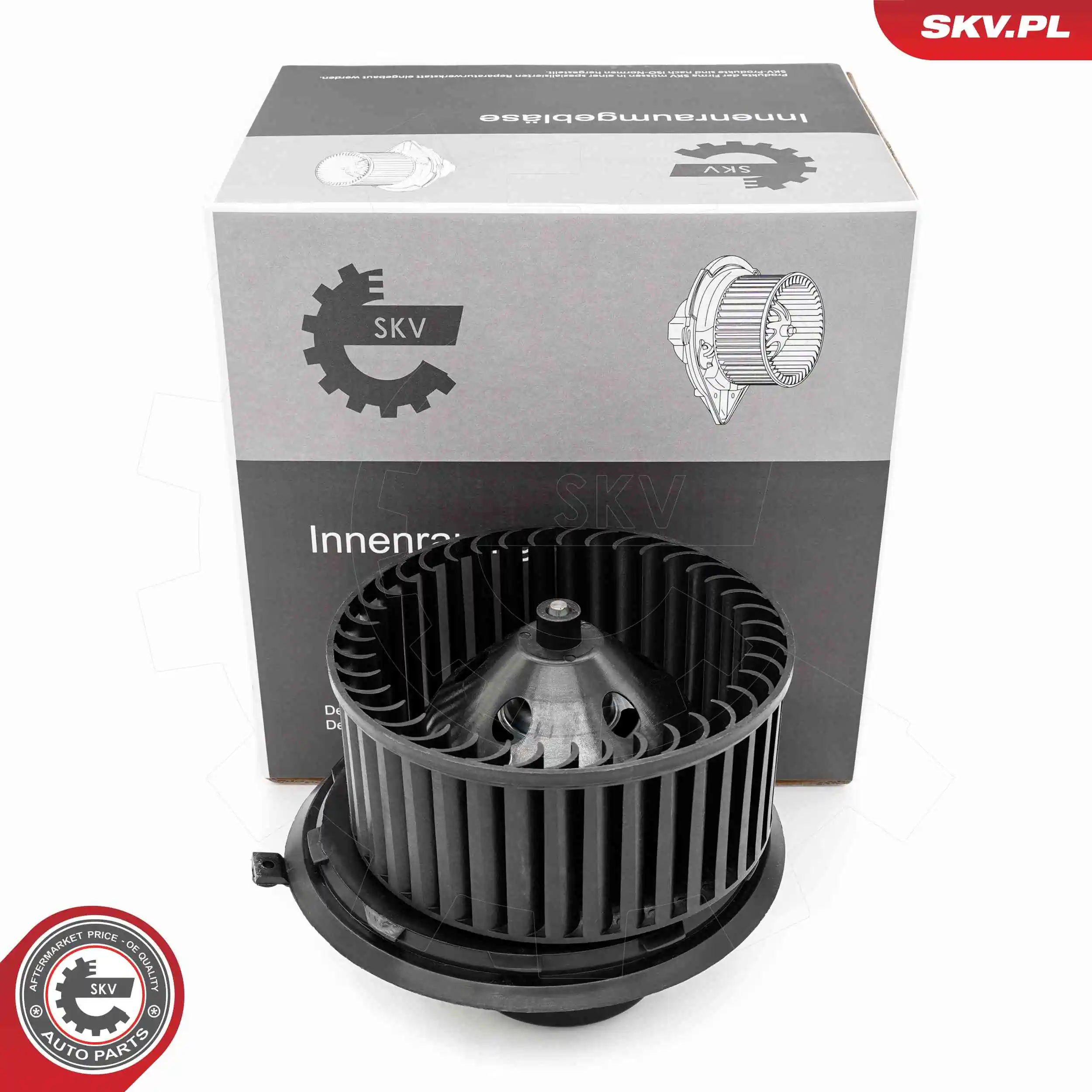 Interior Blower